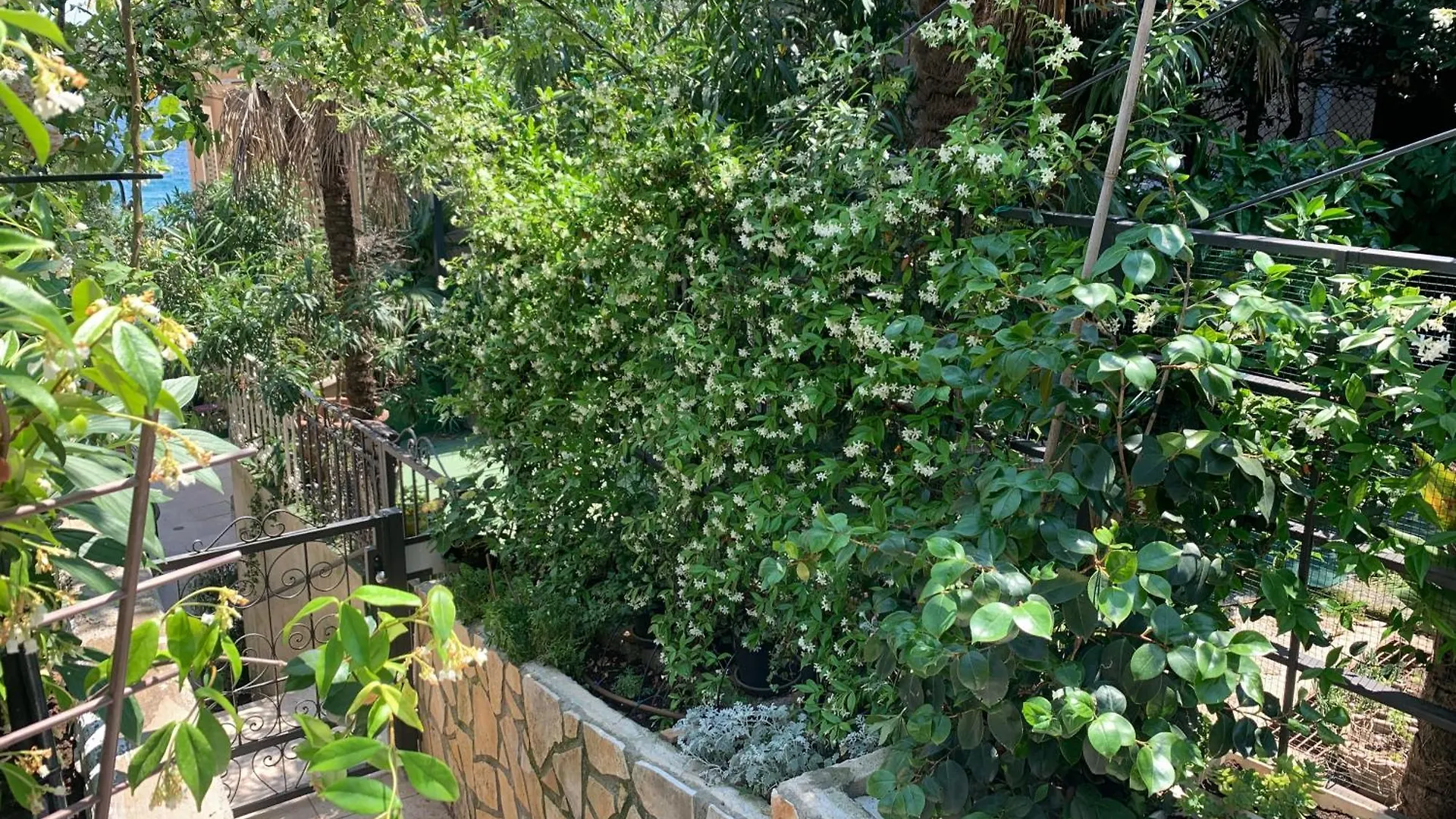 Apartment Artspace Location-Opatija-3 Bedroom House With Rooftop Garden By Beach